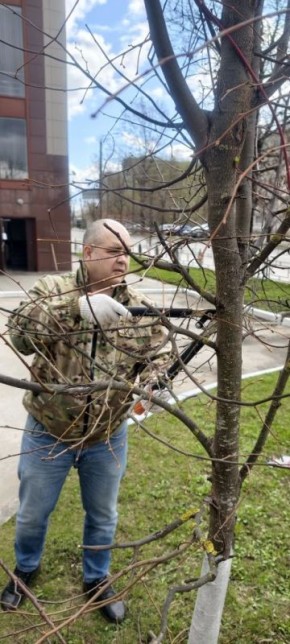 � ������������ ���������� ������ ���������