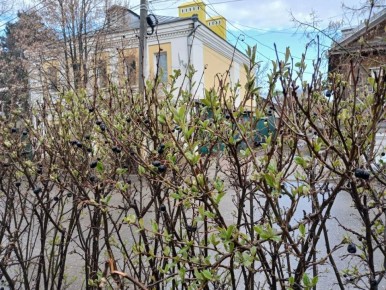 ������ � ����� ������������ � ��������� �������