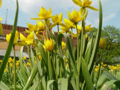 ��������: ������������� ��� �������� ������, ������� ����� ����� ������� ��������