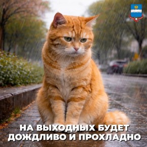 �� �������� � ������ ����� �������� � ���������