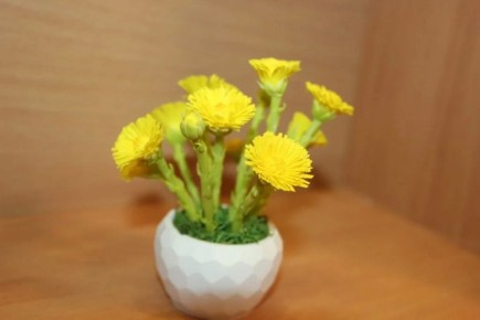 ���������� �� ��� �����: ��� ����������� ��� �� �� ���������