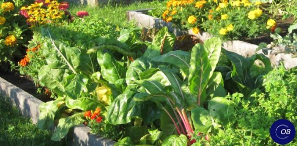 ������ ����������� ������� � ����� ��������� ������