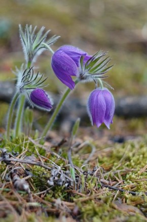 ��������, ����� ������� ���� ��� ���������!