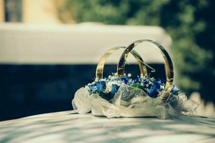 �������� ����� ���� �����������