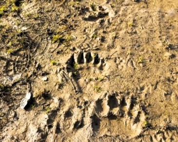 ����� ������� ���������� � ��������� �������