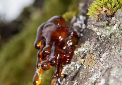 �����: ��� �������� ������ � ����