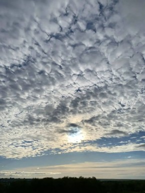 ������� � ������ ���� ������������ ���������� ����������, ����� ������ �����