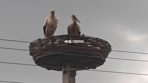 ����� ������������ � ���������� ���� ������ � ��������� �������