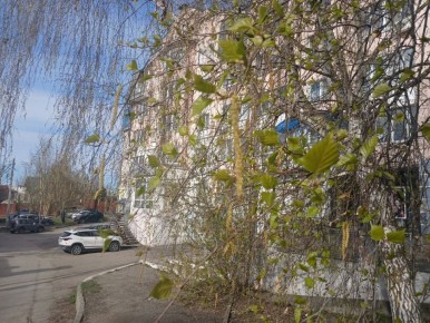 � ��������� ������� ������� ���������