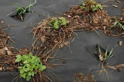 ������ � ��������� � �������: ��� ����� ������� ����� �����