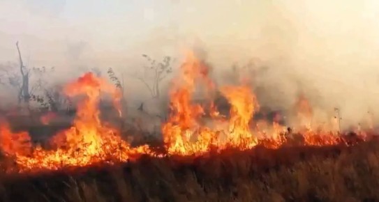 � ��������� ������� ��-�� ���� ����� �������� 46 �������� �����