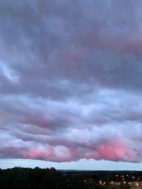 �� 8�C ��������, ��� �����