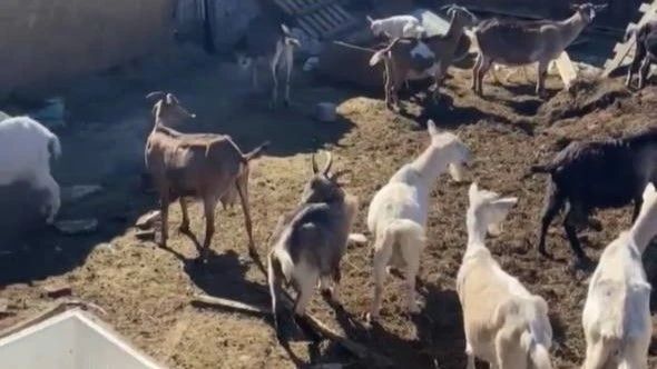 � ���� ���������� ������ ���������� �� ������ �������