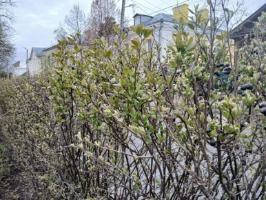 ��������� ������� ��� �������� ������