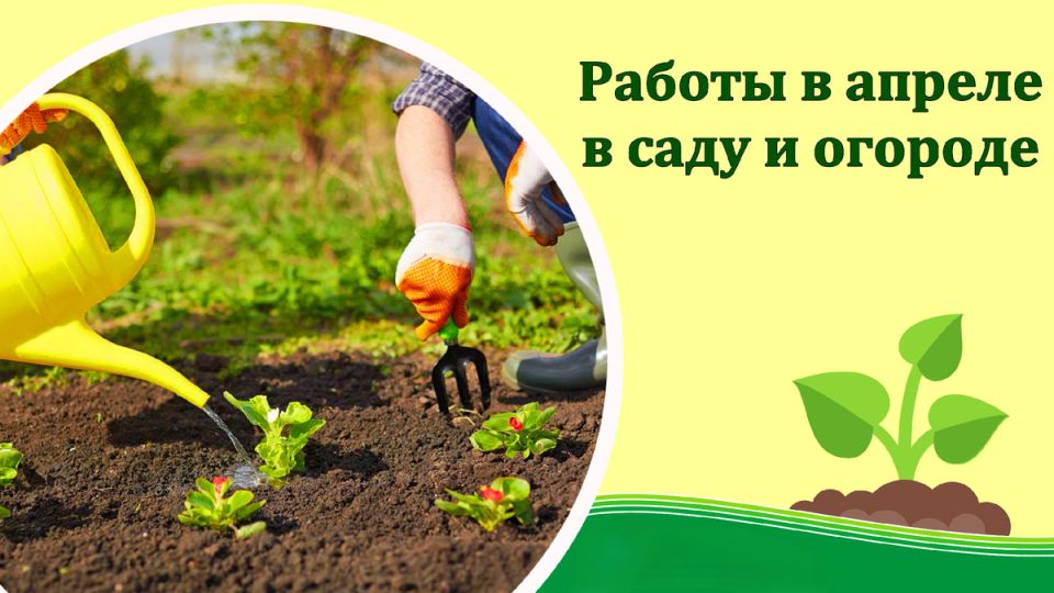 ������ �� ����: ��� �� �������� ����� � ���������� ������� ������