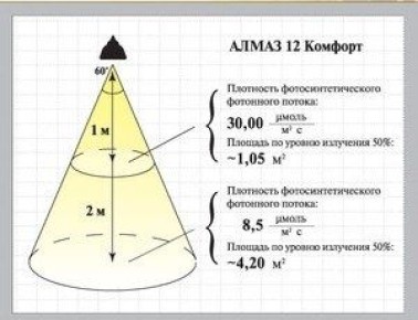 ��� ��������� ������ ����� �������� ��������: ��� ������� ����������?