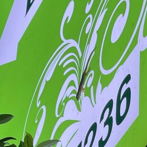 ��������� ��������� ������� �������: ��� ������� �������