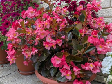 ������� �������� ������: ����� ������������, ������� ����� �������� � 2025 ����