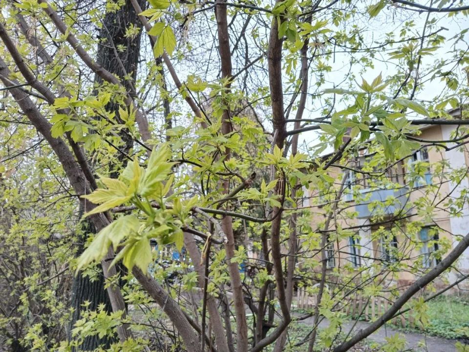 � ��������� ������� ��������� ��������� ������