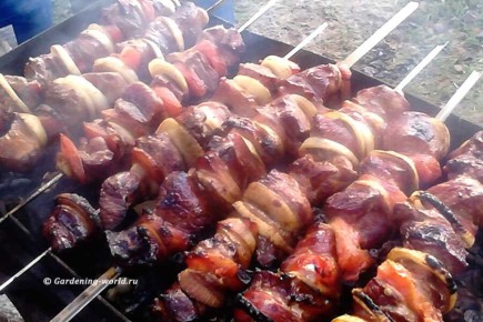 ��� ��������� ������ ������� �� ����, ����� �������� �������