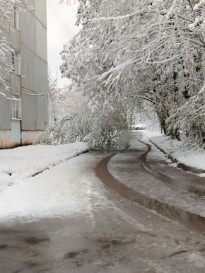 � ������ ���� ������� ������� � ������� �������