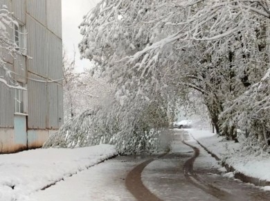 �������� �������� 12 �������� � ��������