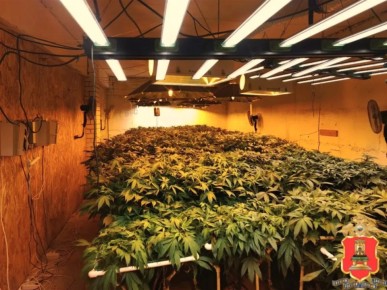 ���� ������� ������������ ������������ � �������� �������