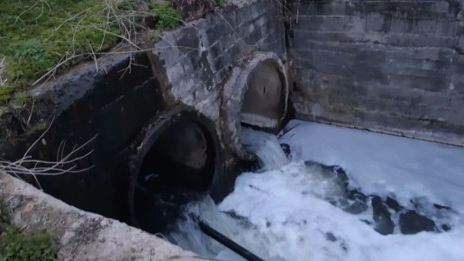 � ����������� �������� �������� ���� ���� � ����