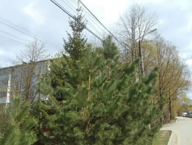 � ��������� ������� ��������� �� ���� ��������