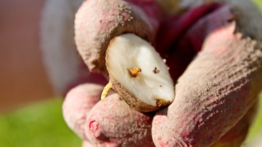 ����������� ������ ������ � �������������: ������� ���������� ������������� ������