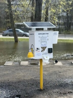 ��� ���� ������� � ������ ��� ���� �������� � ������