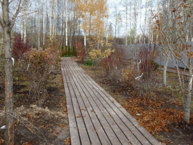 ���������� ������� ������: ��� ����������� ������� � ����