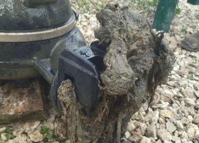 �� ��� ������ ���������� ��������� ������ �������� � ��������