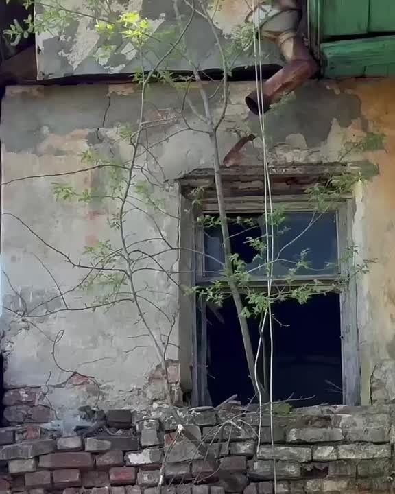 В Калуге начался снос еще одного дома