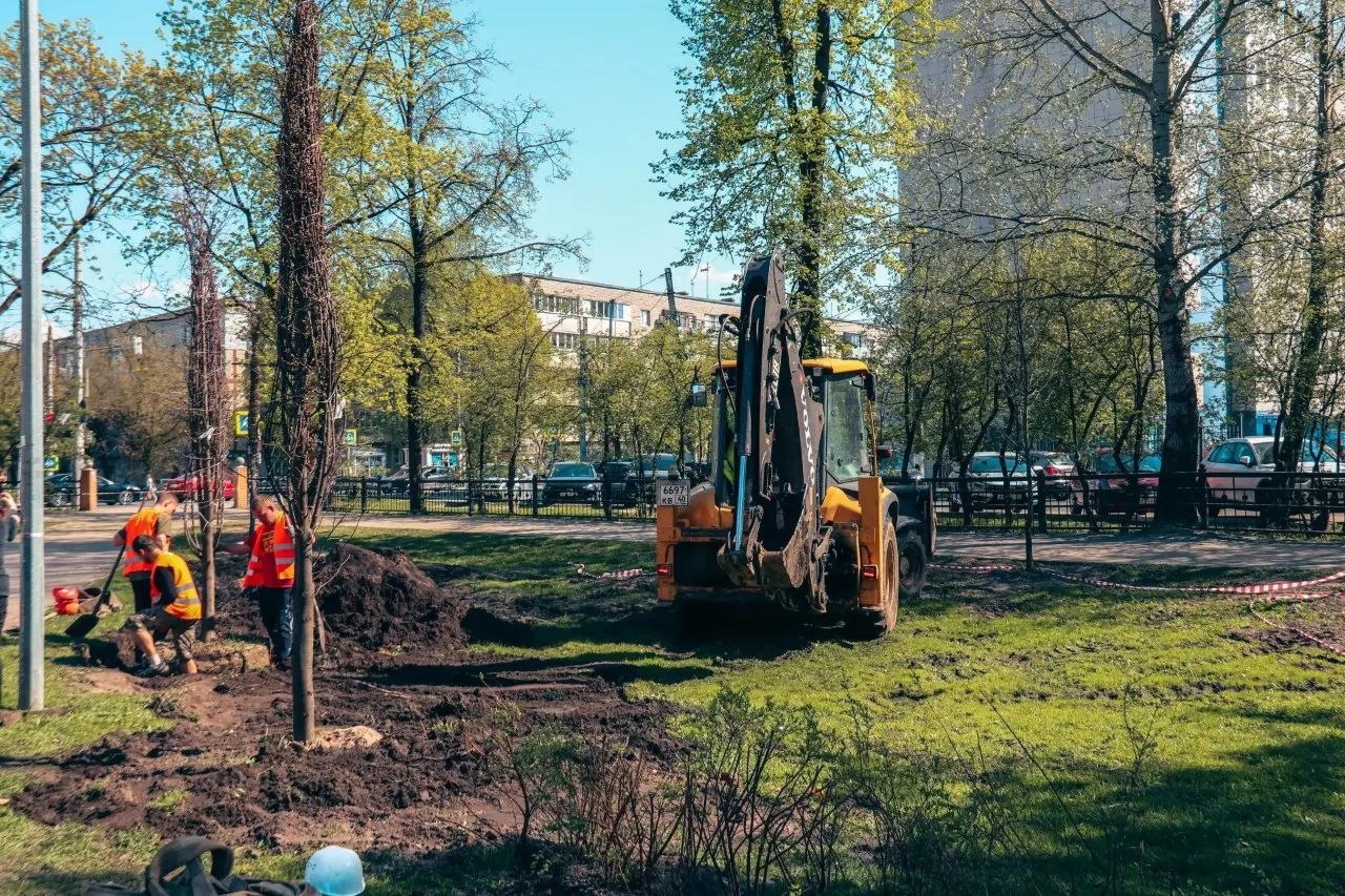 сквере Воронина построили антивандальный туалет сквере Воронина построили антивандальный туалет