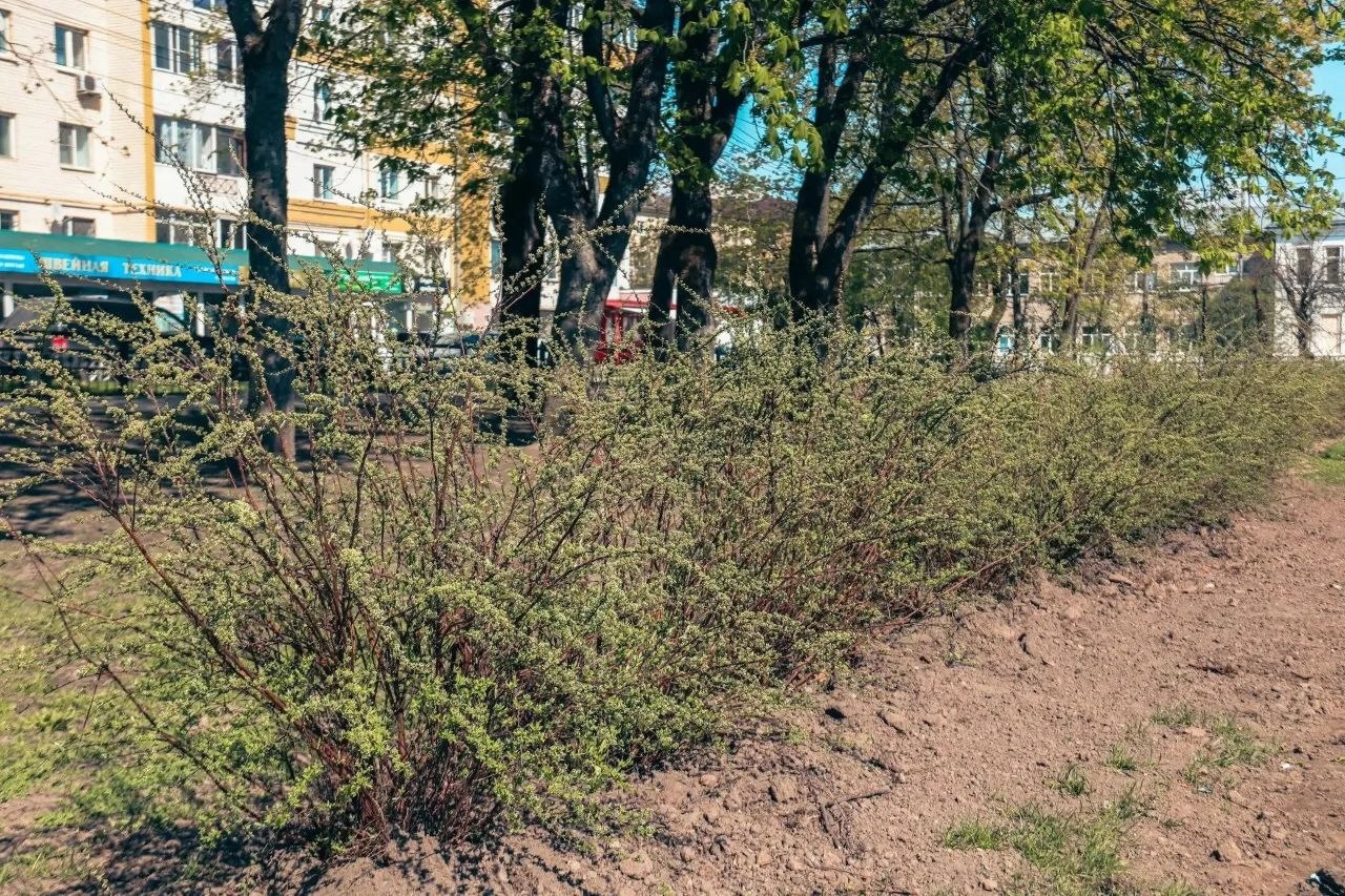 сквере Воронина построили антивандальный туалет сквере Воронина построили антивандальный туалет