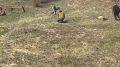 �� ����� ������-������������ ������������� � ����-��� ������ ������� �������� � ����� �������� � ����� � ����� �� ������, ����� ������ �����