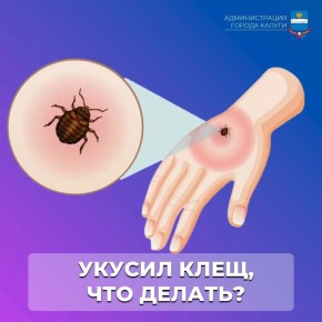 Укусил клещ: что делать?. Клещи — переносчики опасных инфекций