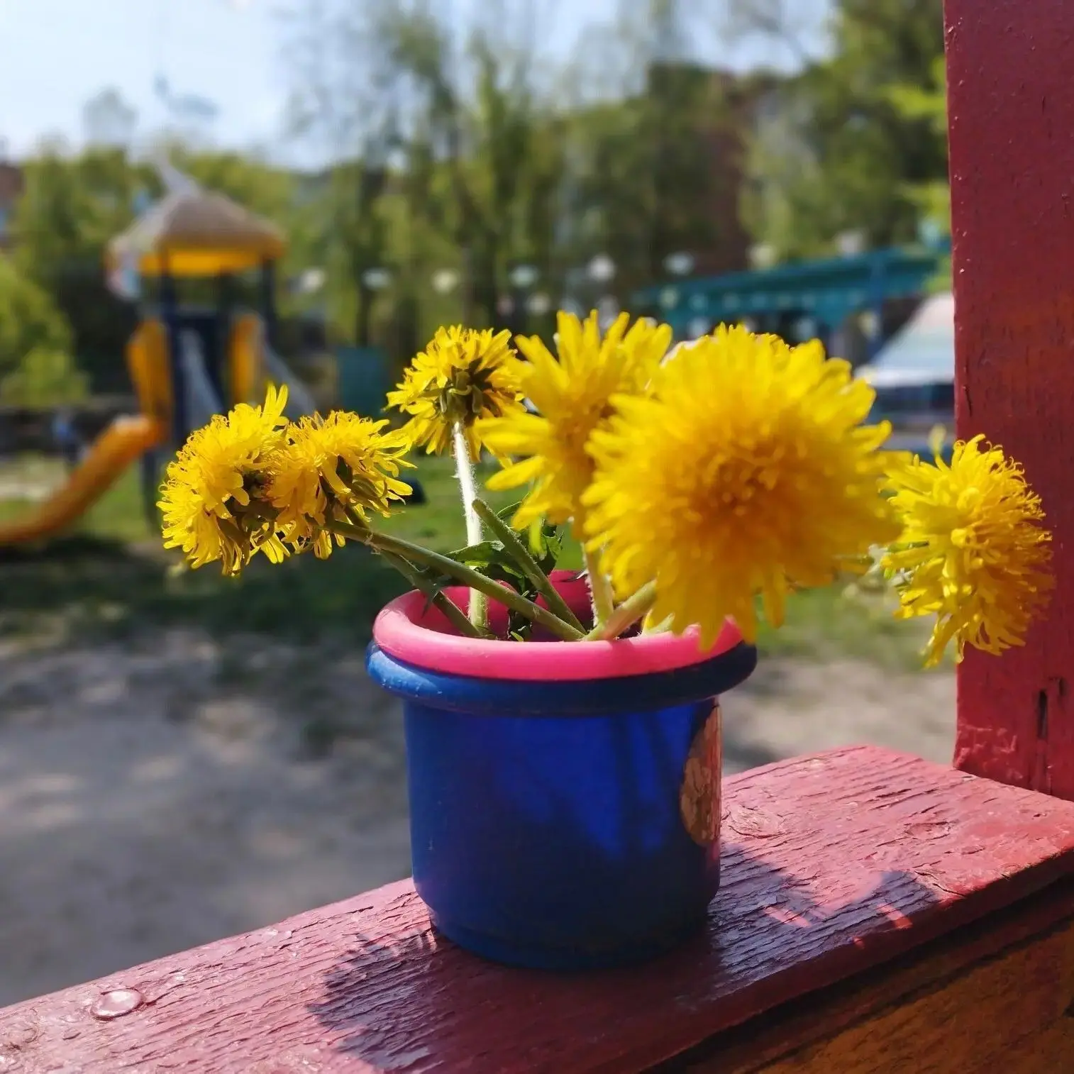Одуванчики — маленькие солнышки весны! Одуванчики — маленькие солнышки весны!