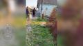 Калужанина задержали за призывы бомбить Белгород