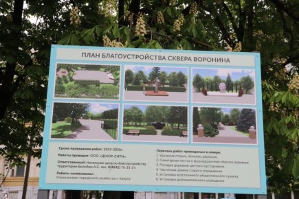 Депутаты Максим Платов и Леонид Чижов обсудили с главным садовником Калуги Ольгой Зоряковой перспективы благоустройства сквера Воронина