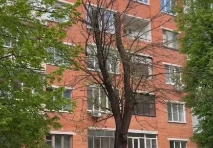 В Калуге начали срезать аварийные деревья на улице Циолковского