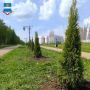 Калуга приняла участие в акции "Сад Памяти"
