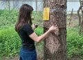 Юные лесоводы из Калужской области соревновались в знании леса и управлении дронами