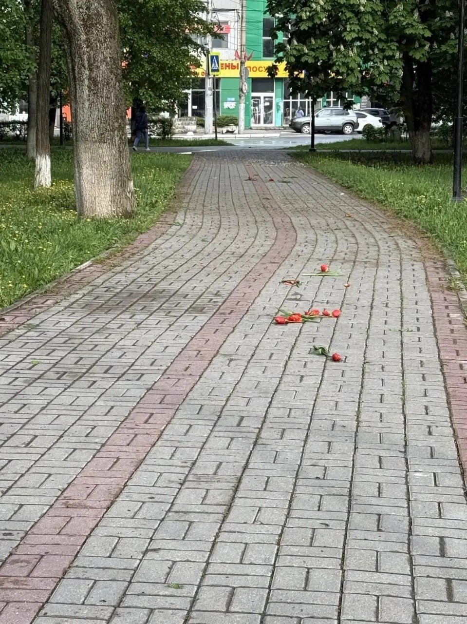 В Калуге вандалы уничтожили тюльпаны на клумбах
