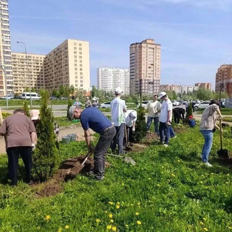 Калуга приняла участие в акции "Сад Памяти" Калуга приняла участие в акции "Сад Памяти"