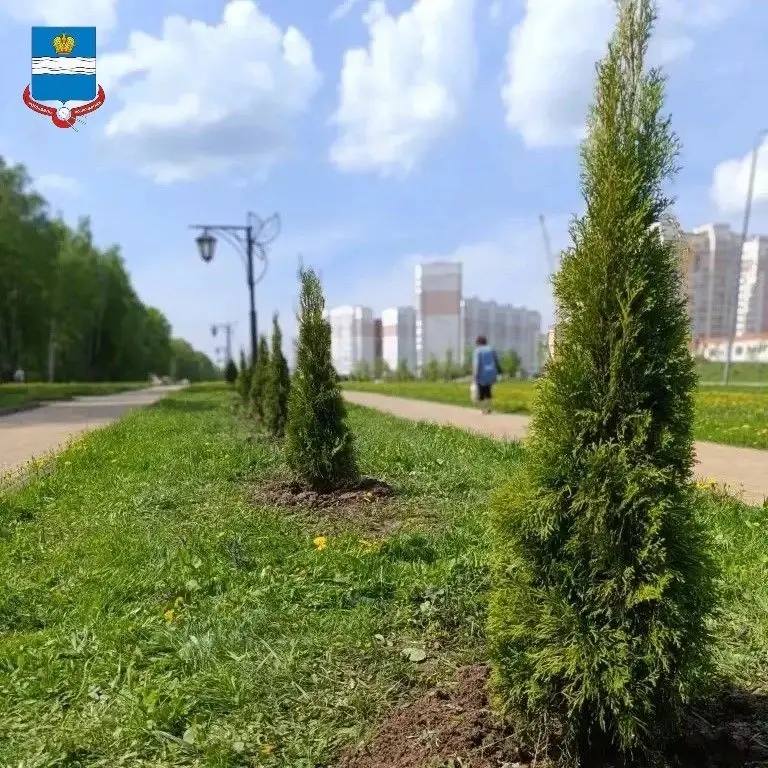 Калуга приняла участие в акции "Сад Памяти"