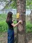 Юные лесоводы из школьных лесничеств продемонстрировали свои навыки на конкурсе «Мастерство без границ»