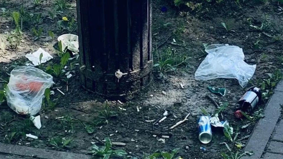 В начале июня перед входом в парк Циолковского планируют высадить цветы