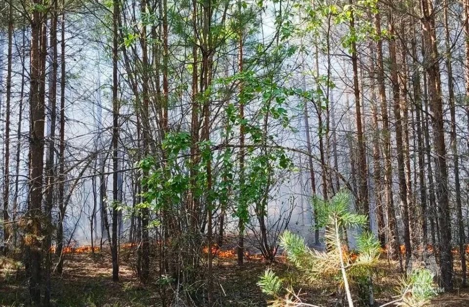 В Куйбышевском районе Калужской области тушат лесной пожар